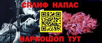 стаф Кунгур