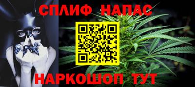 стаф Кунгур